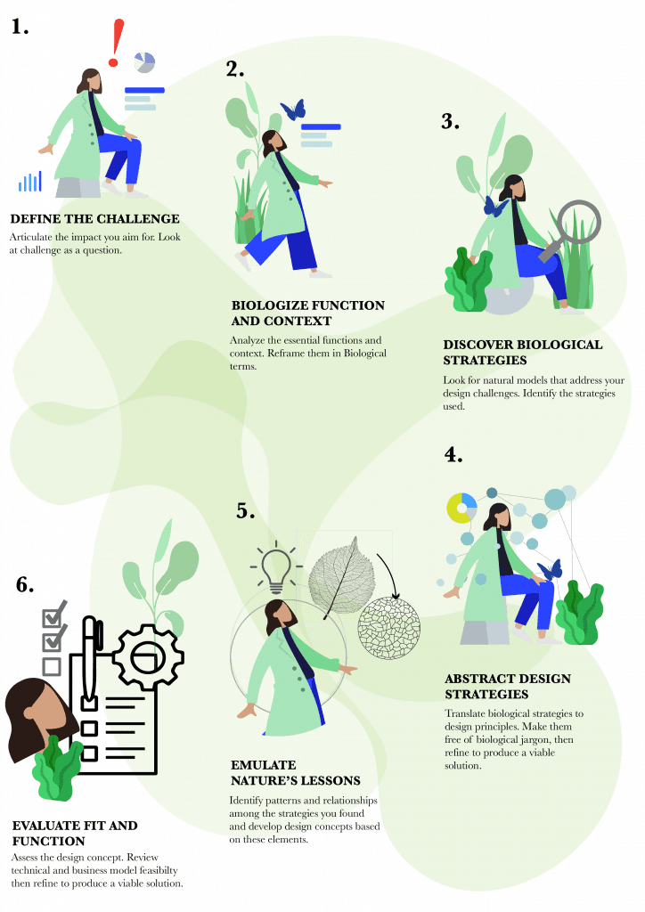 6 steps