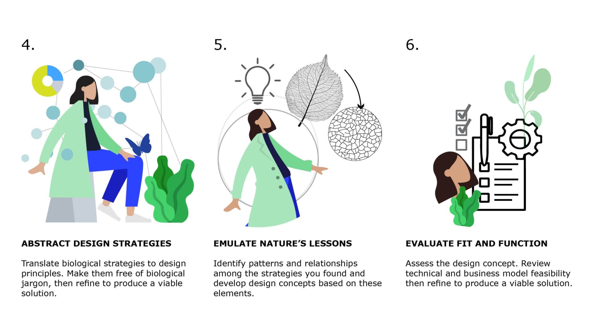 Biomimicry for Designers - Biomimicry Toolkit